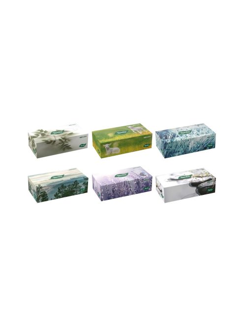 Tento șervețele 2 straturi în cutie bigbox - 150buc