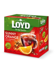 Loyd ceai HOT portocaliu-scorțișoară - 40g