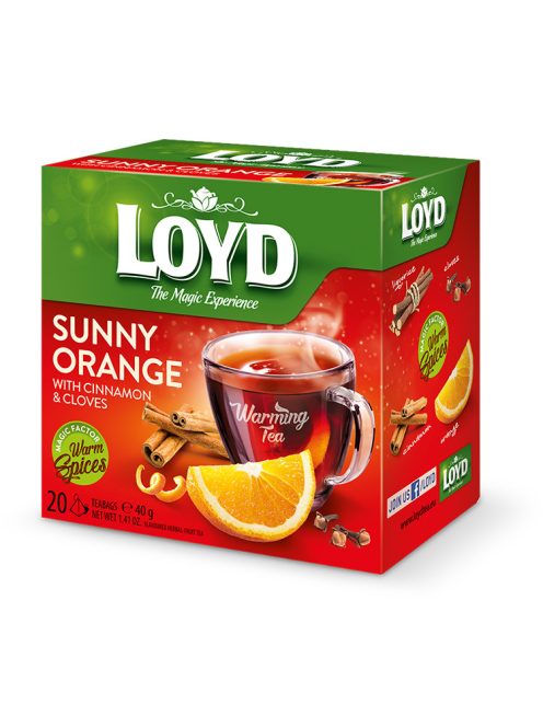 Loyd ceai HOT portocaliu-scorțișoară - 40g