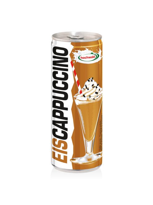 Hochwald Ice Cappuccino Iced Coffee- 250 ml
